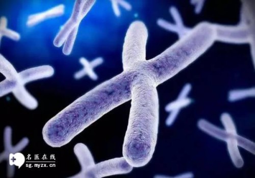 西安試管助孕公司：2023供卵試管嬰兒申請(qǐng)流程、成功率、及費(fèi)用介紹