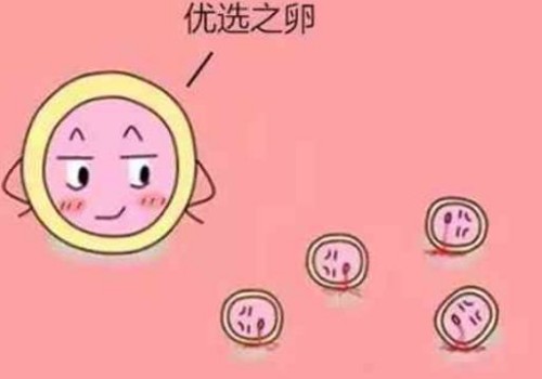 去泰國HIV洗精技術(shù)會(huì)比國內(nèi)的技術(shù)更好嗎？
