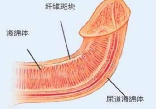 西安供卵試管：12個(gè)月以下的嬰兒多久調(diào)整一次奶量和次數(shù)？