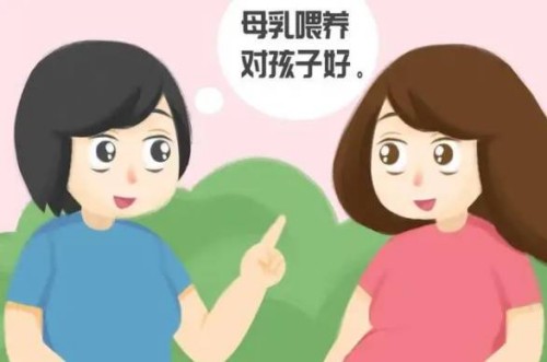 西安試管助孕公司：2023浙江省第一醫(yī)院試管嬰兒成功懷孩子策略，費(fèi)用及成功率參考