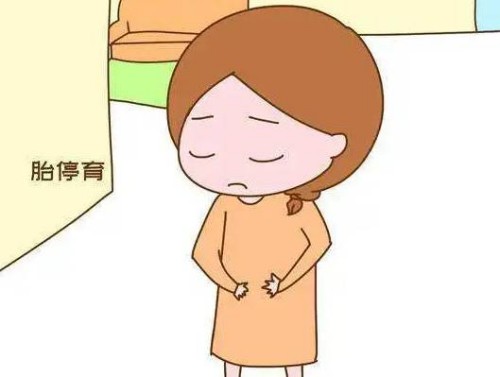 孕期四維彩超必須要做，檢查費(fèi)用差不多2000元