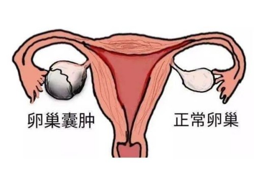孕婦發(fā)熱一定要特別注意，小心對(duì)胎兒造成傷害