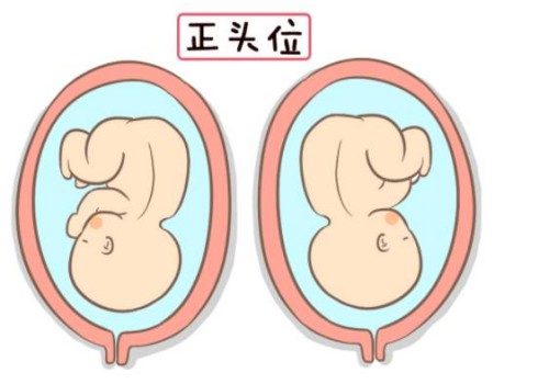 西安試管助孕公司：孕婦安胎保胎食物有哪些，多吃這些食物對身體只有好處