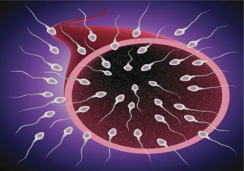 西安供卵試管：正確使用睪丸片，解決男性的健康問(wèn)題