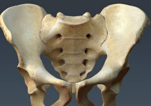 西安正規(guī)助孕機(jī)構(gòu)：著床后的男孩和女孩差異在這4點(diǎn)，一分鐘了解輕松預(yù)測寶寶性別！