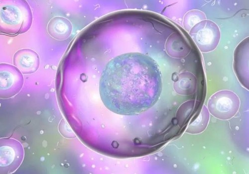 2023年做試管嬰兒的家庭別再相信試管嬰兒不成功包退款的騙局了！